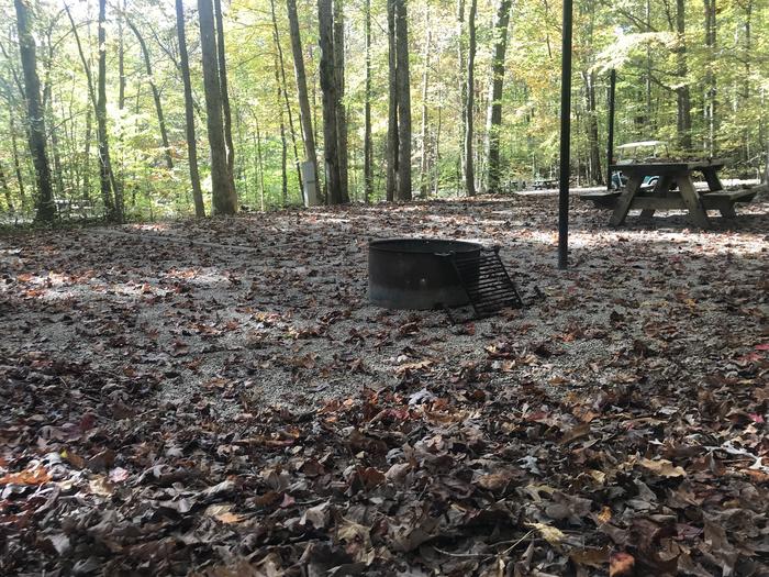 A photo of Site A003 of Loop A at TWIN KNOBS CAMPGROUND with Picnic Table, Electricity Hookup, Fire Pit, Shade, Tent Pad, Lantern Pole
