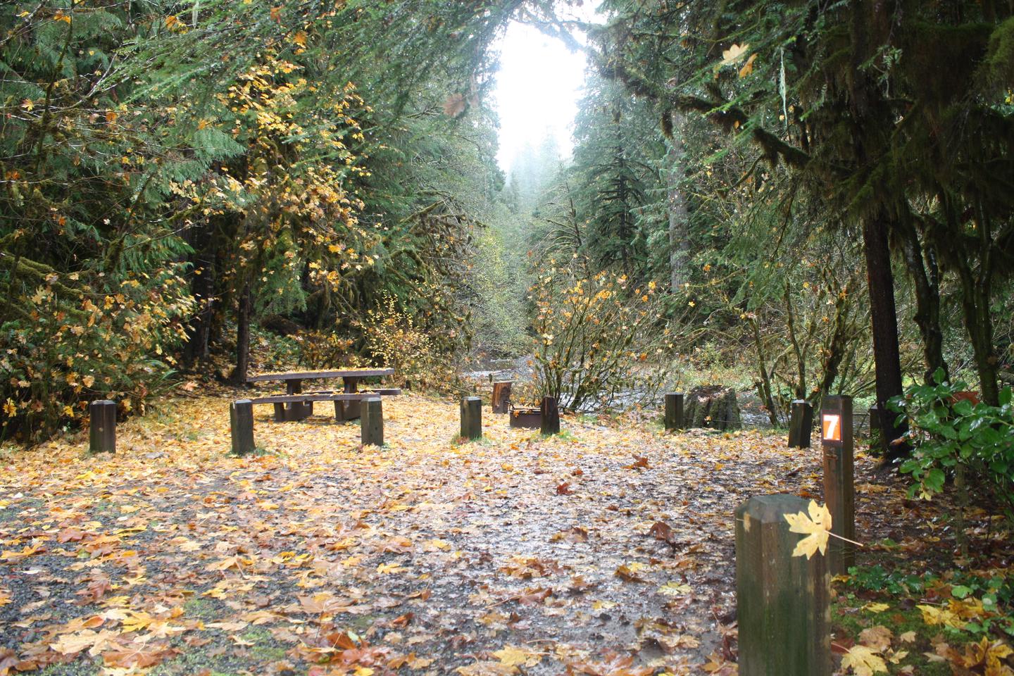 House Rock Campground located in the Willamette National Forest.House Rock - Site 7