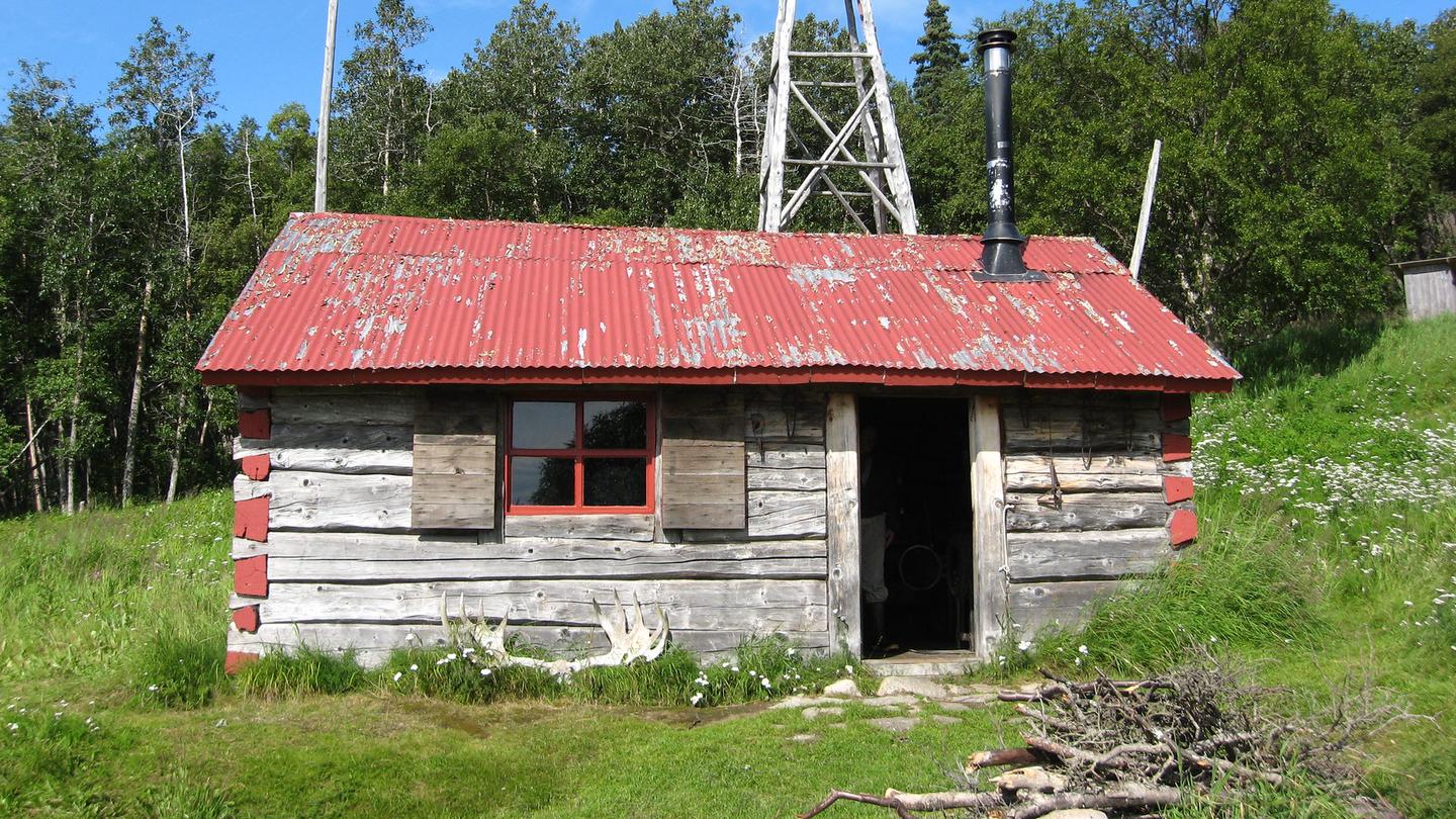 A rustic wood cabin with a red roof surrounded by trees and grassFure's Cabin sits in a clearing by Naknek Lake.