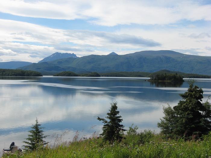A lake with small forested islands surrounded by mountains and a grassy field dotted with spruce trees.View of Bay of Islands, Naknek Lake, from Fure's Cabin.
