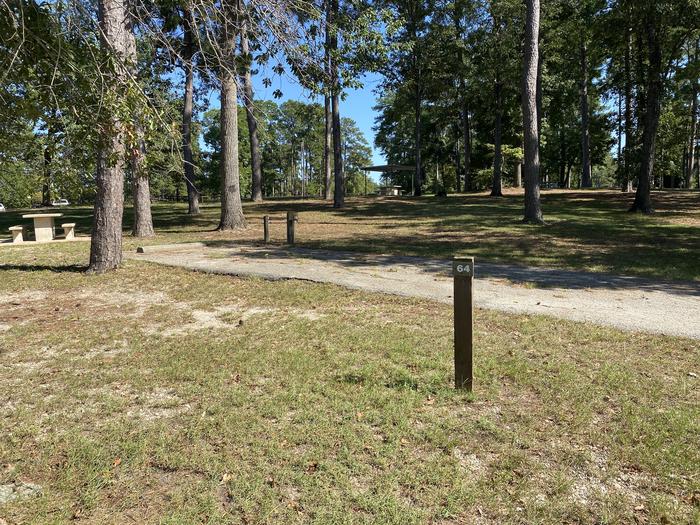 A photo of Site 64 of Loop LOOD at SAN AUGUSTINE with Picnic Table, Electricity Hookup, Fire Pit, Lantern Pole, Water Hookup