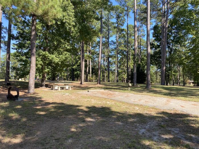 A photo of Site 66 of Loop LOOD at SAN AUGUSTINE with Picnic Table, Electricity Hookup, Fire Pit, Shade, Water Hookup