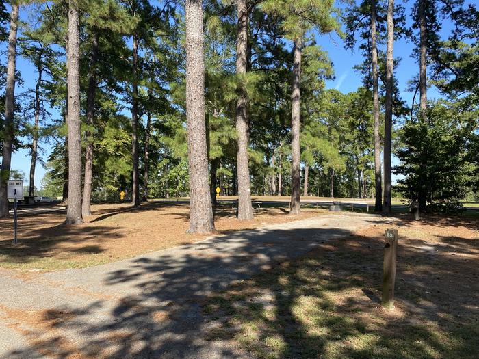 A photo of Site 55 of Loop LOOD at SAN AUGUSTINE with Picnic Table, Electricity Hookup, Fire Pit, Shade, Water Hookup