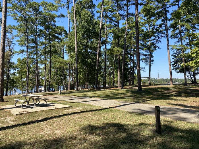 A photo of Site 71 of Loop LOOD at SAN AUGUSTINE with Picnic Table, Electricity Hookup, Fire Pit, Shade, Water Hookup