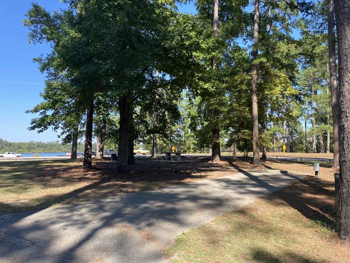 A photo of Site 56 of Loop LOOD at SAN AUGUSTINE with Picnic Table, Electricity Hookup, Fire Pit, Shade, Lantern Pole, Water Hookup