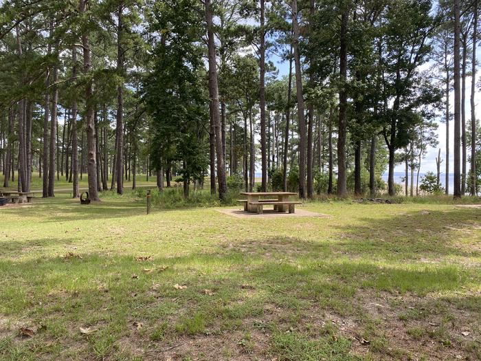 A photo of Site 52 of Loop RPAR at RAYBURN with Picnic Table