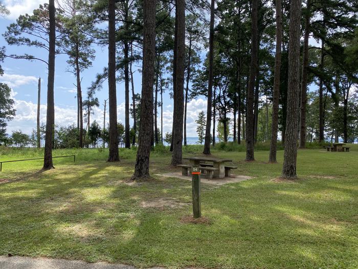 A photo of Site 54 of Loop RPAR at RAYBURN with Picnic Table, Fire Pit