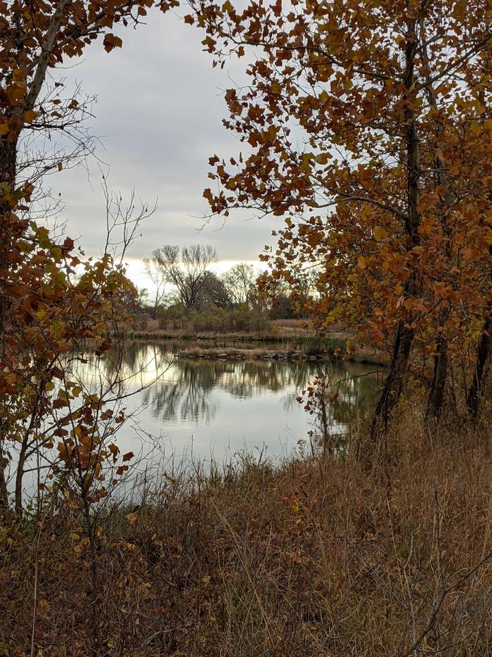 A view from the Outlet Park trail by the gathering pond