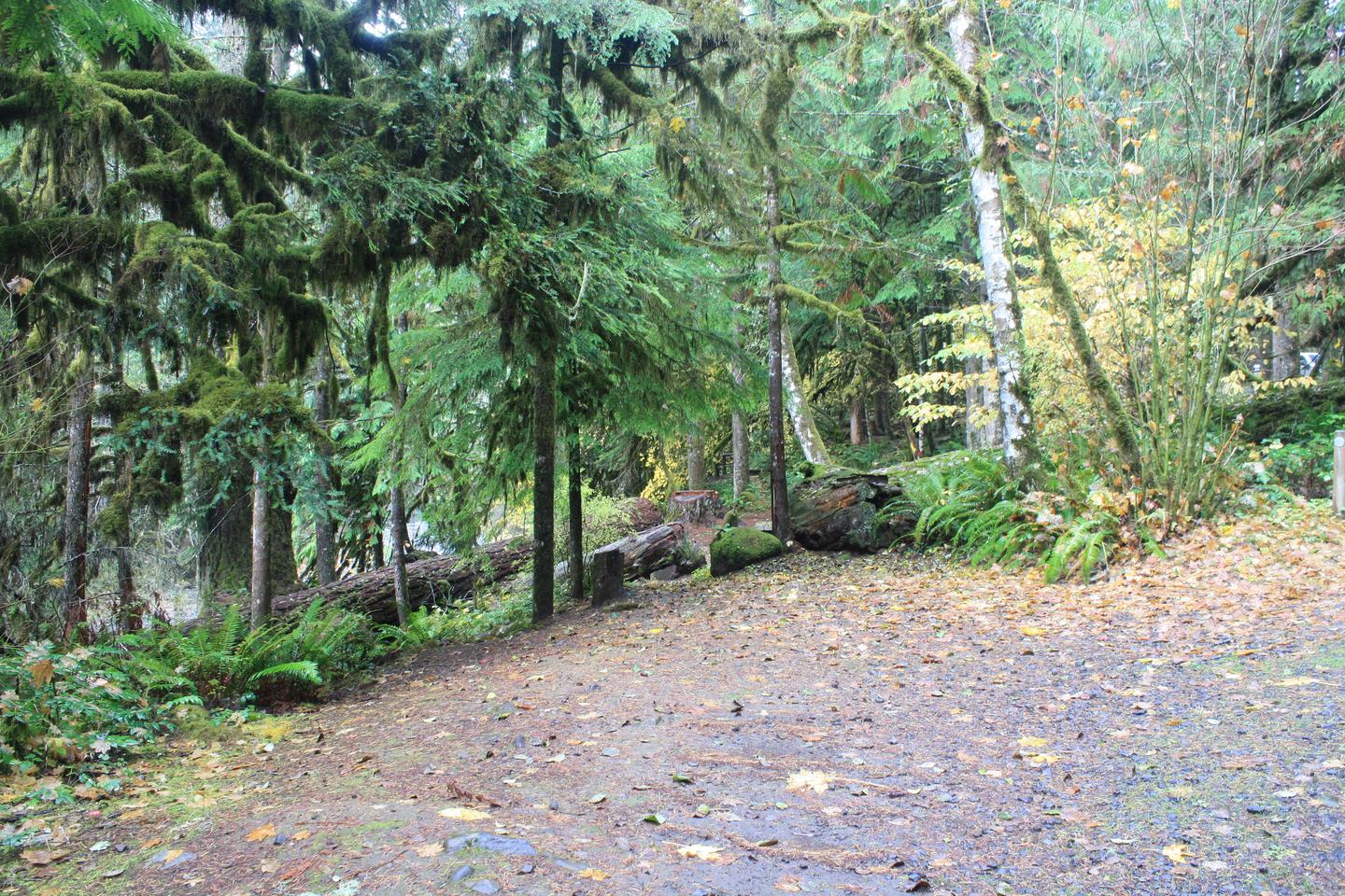 House Rock Campground located in the Willamette National Forest.House Rock - Site 12
