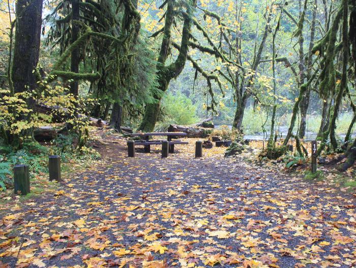 House Rock Campground located in the Willamette National Forest.House Rock - Site 17