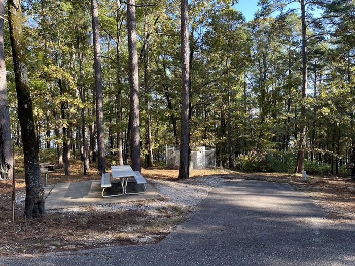 A photo of Site 69 of Loop IRON MOUNTAIN  at IRON MOUNTAIN with Picnic Table, Electricity Hookup, Fire Pit, Shade, Lantern Pole