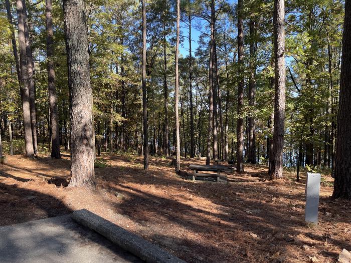 A photo of Site 65 of Loop IRON MOUNTAIN  at IRON MOUNTAIN with Picnic Table, Electricity Hookup, Fire Pit, Shade, Lantern Pole