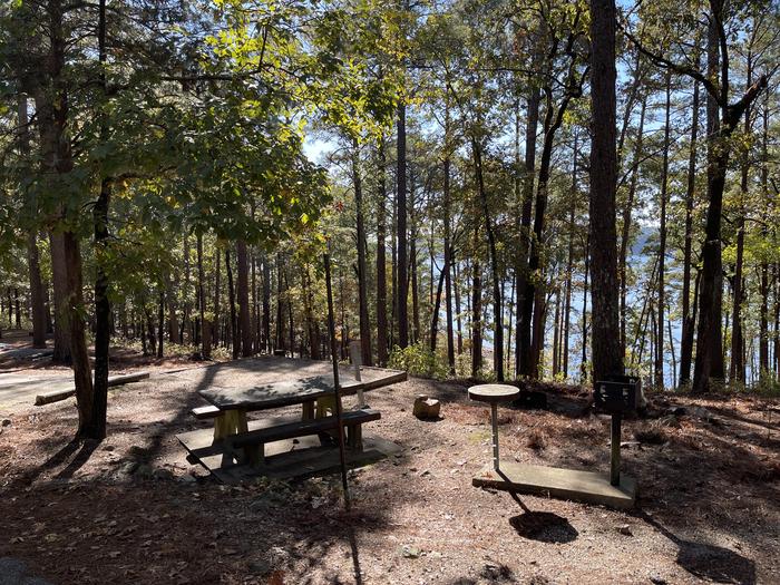 A photo of Site 38 of Loop IRON MOUNTAIN  at IRON MOUNTAIN with Picnic Table, Electricity Hookup, Fire Pit, Shade, Tent Pad, Lantern Pole