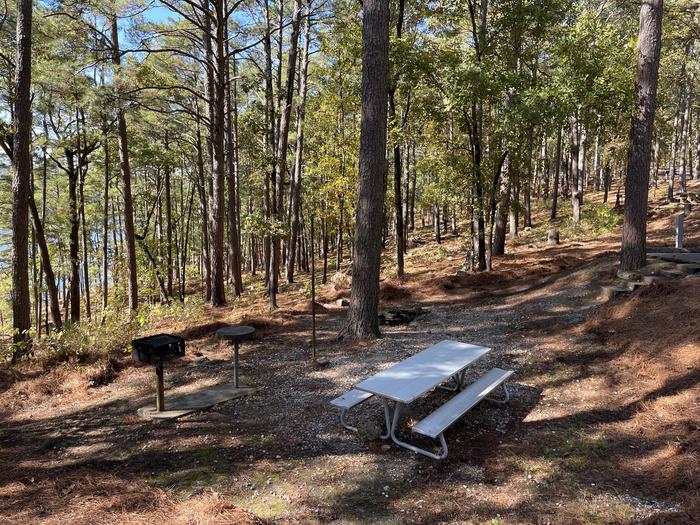 A photo of Site 39 of Loop IRON MOUNTAIN  at IRON MOUNTAIN with Picnic Table, Electricity Hookup, Fire Pit, Shade, Lantern Pole