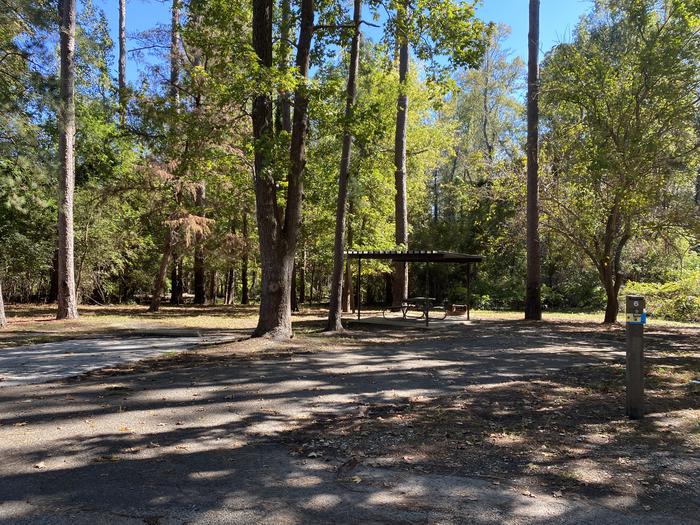 A photo of Site 006 of Loop E at MILL CREEK (TEXAS) with Picnic Table, Electricity Hookup, Fire Pit, Shade, Water Hookup