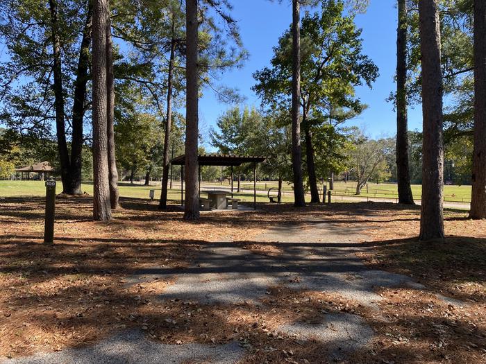 A photo of Site 100 of Loop D at MILL CREEK (TEXAS) with Picnic Table, Electricity Hookup, Fire Pit, Shade, Lantern Pole, Water Hookup