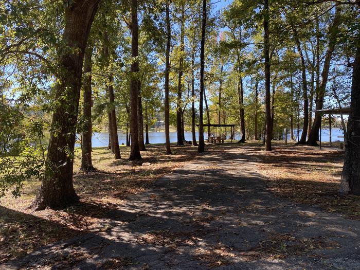 A photo of Site 102 of Loop D at MILL CREEK (TEXAS) with Picnic Table, Electricity Hookup, Fire Pit, Shade, Waterfront, Lantern Pole