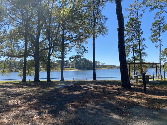 A photo of Site 088 of Loop D at MILL CREEK (TEXAS) with Picnic Table, Electricity Hookup, Fire Pit, Shade, Waterfront, Lantern Pole, Water Hookup