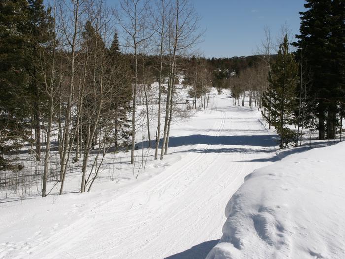 Ski Trail Ski Trail