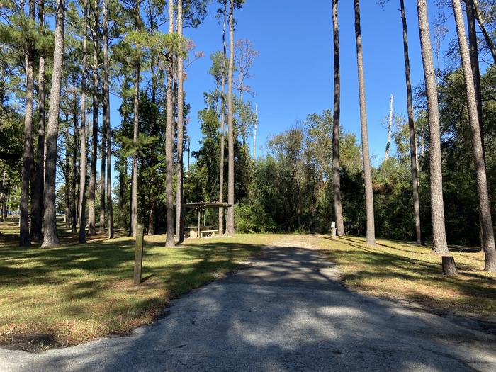 A photo of Site 051 of Loop A at MILL CREEK (TEXAS) with Picnic Table, Electricity Hookup, Fire Pit, Shade, Lantern Pole, Water Hookup
