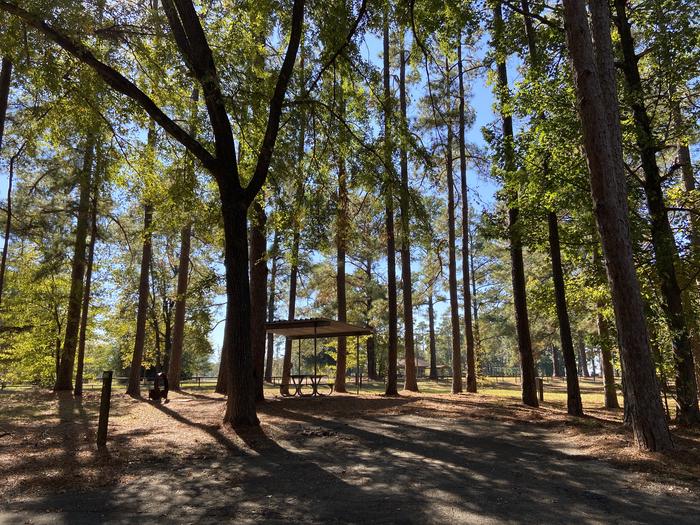 A photo of Site 050 of Loop A at MILL CREEK (TEXAS) with Picnic Table, Electricity Hookup, Fire Pit, Shade, Lantern Pole, Water Hookup