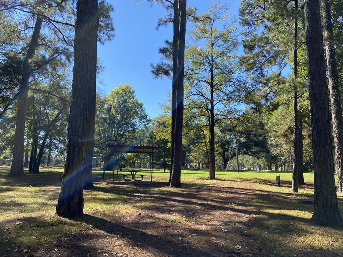 A photo of Site 053 of Loop A at MILL CREEK (TEXAS) with Picnic Table, Electricity Hookup, Fire Pit, Shade, Lantern Pole, Water Hookup