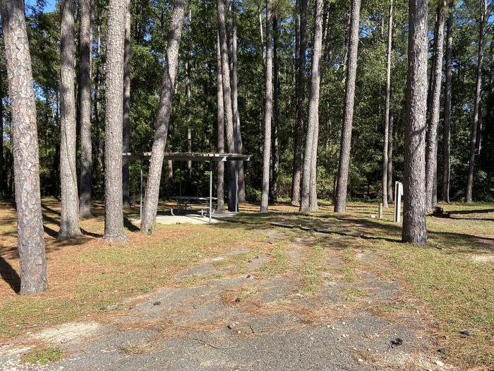 A photo of Site 048 of Loop A at MILL CREEK (TEXAS) with Picnic Table, Electricity Hookup, Fire Pit, Shade, Lantern Pole, Water Hookup