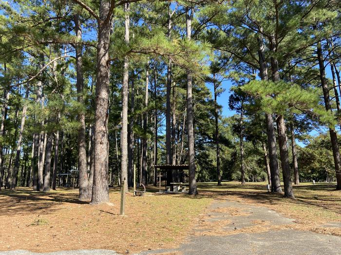 A photo of Site 082 of Loop A at MILL CREEK (TEXAS) with Picnic Table, Electricity Hookup, Fire Pit, Shade, Lantern Pole, Water Hookup