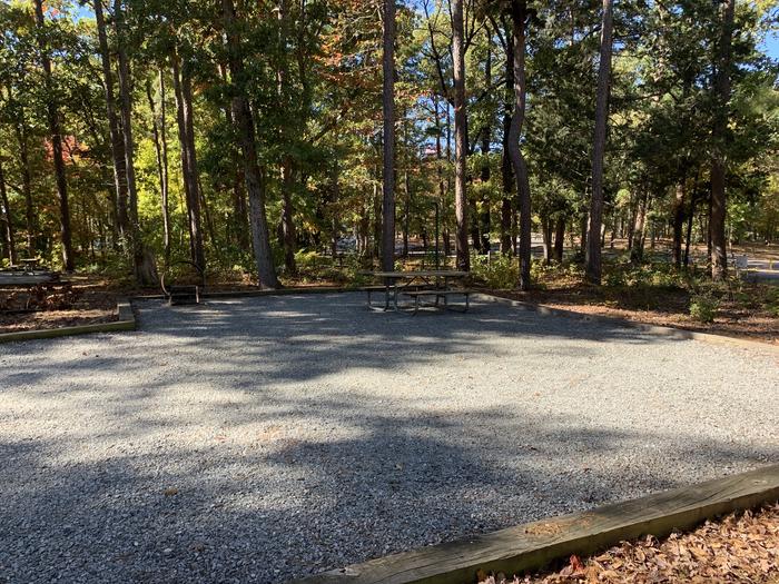 A photo of Site 001 of Loop A at NORTH BEND PARK with Picnic Table, Fire Pit, Tent Pad, Lantern Pole