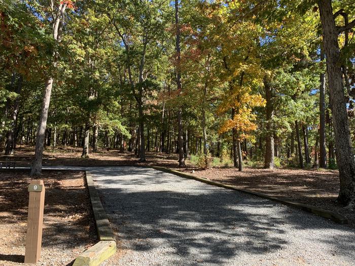 A photo of Site 009 of Loop A at NORTH BEND PARK with Picnic Table, Fire Pit, Tent Pad, Lantern Pole