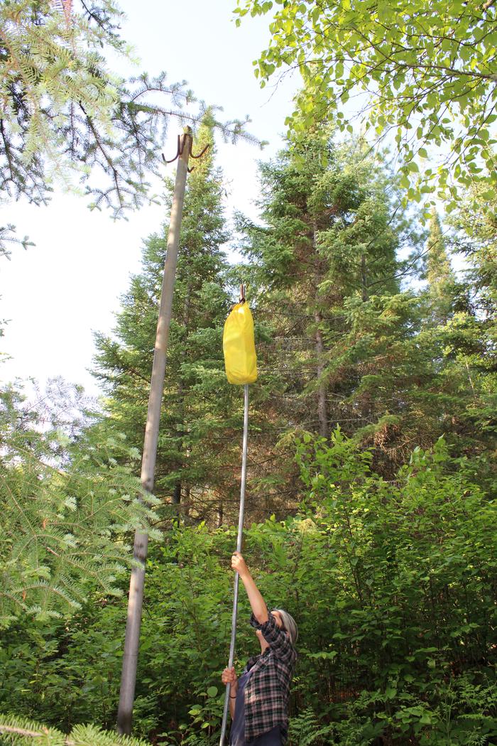 Hanging food bag on bear pole