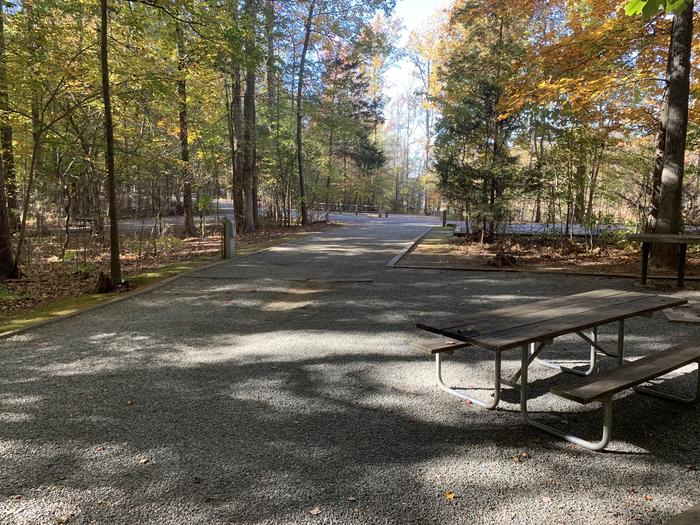 A photo of Site 063 of Loop BLOO at RUDDS CREEK REC. AR. with Picnic Table, Electricity Hookup, Fire Pit, Lantern Pole, Water Hookup