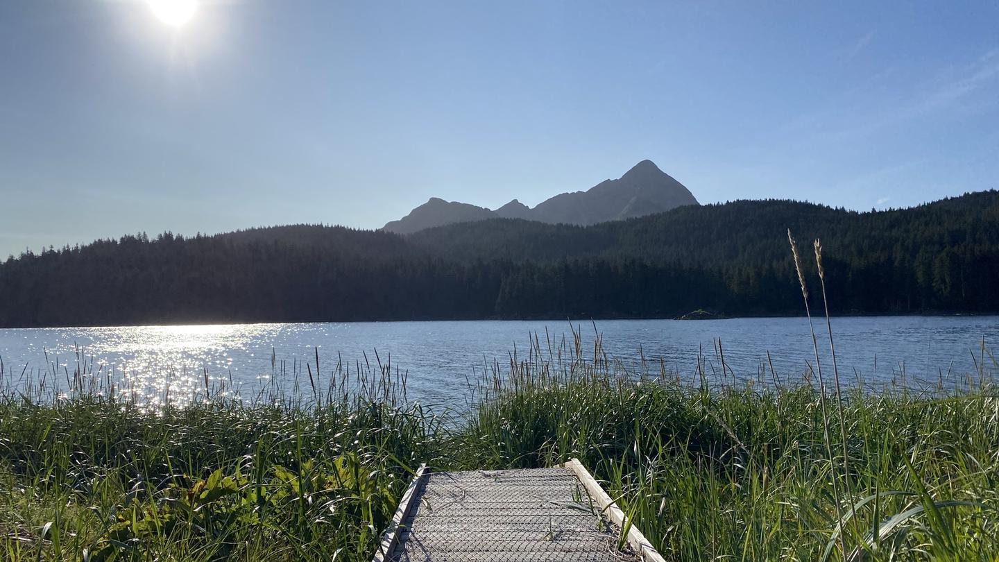 View of Red Peak over spruce tree line under blue sky in distance with Blue Fox Bay reflecting sun beyond a boardwalk surrounded by tall green grassesView of Red peak over trees from boardwalk of Blue Fox Bay public use cabin