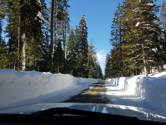Snow covered roadway accessing the Eldorado National ForestMake sure you are prepared for winter conditions as you venture out to find your Christmas Tree.