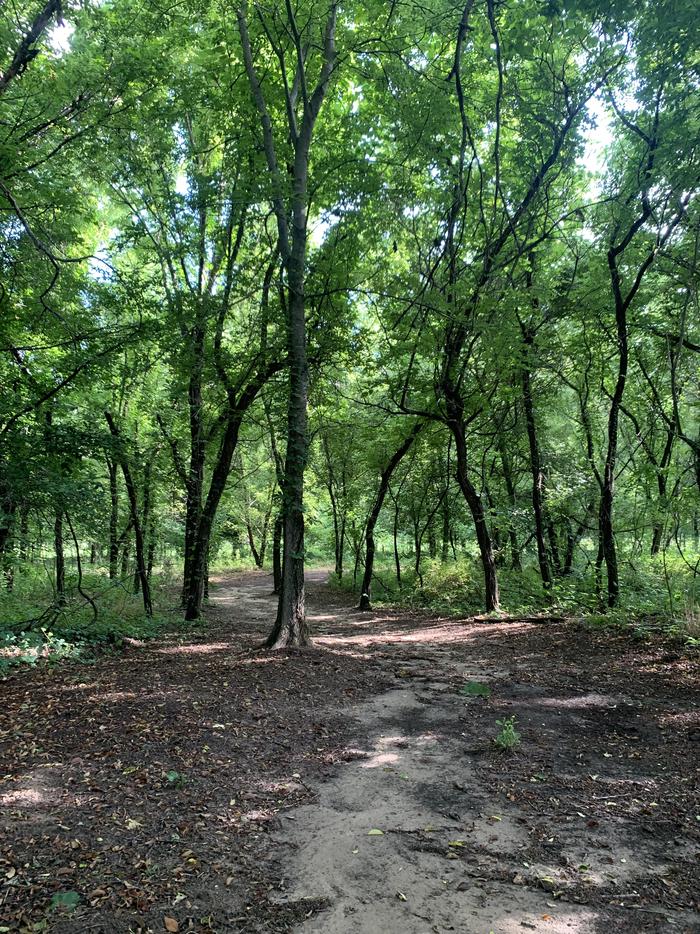 The fitness trail on Keystone Lake offers a mile long trail filled with wildlife and plenty of tree coverage for everyone to enjoy.A photo of facility Brush Creek Public Use Area