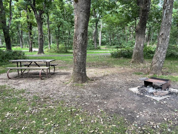 A photo of Site A071 of Loop A Loop at Loft Mountain Campground with Picnic Table, Fire Pit