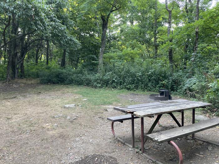 A photo of Site G180 of Loop G Loop at Loft Mountain Campground with Picnic Table, Fire Pit