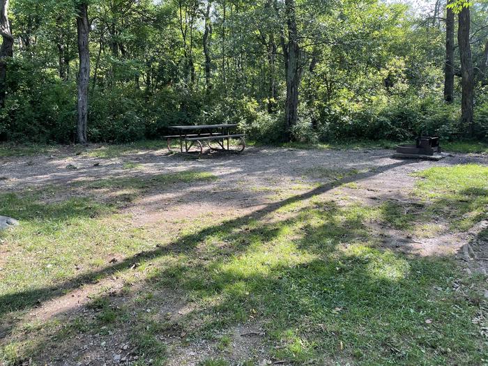 A photo of Site D118 of Loop D Loop at Loft Mountain Campground with Picnic Table, Fire Pit