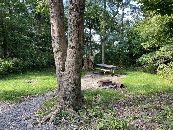 A photo of Site A060 of Loop A Loop at Loft Mountain Campground with Picnic Table, Fire Pit