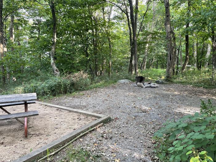 A photo of Site 016 of Loop Upper Loop at Loft Mountain Campground with Picnic Table, Fire Pit, Tent Pad