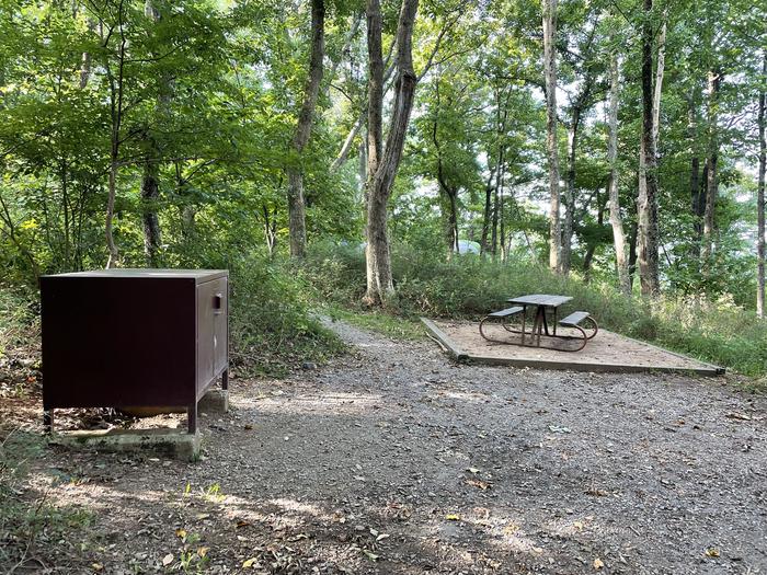 A photo of Site 016 of Loop Upper Loop at Loft Mountain Campground with Picnic Table, Food Storage, Tent Pad