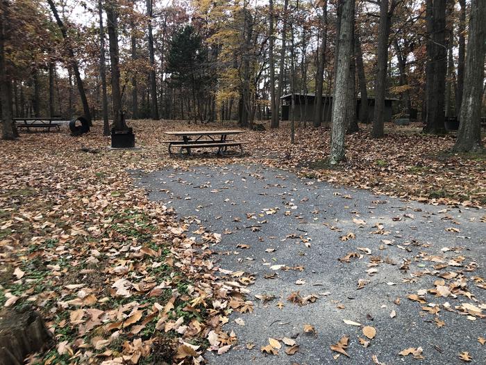 A photo of Site B42 of Loop LOOP B at GREENBELT CAMPGROUND with Picnic Table, Fire Pit