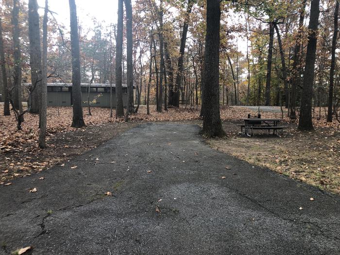 A photo of Site B46 of Loop LOOP B at GREENBELT CAMPGROUND with Picnic Table, Fire Pit