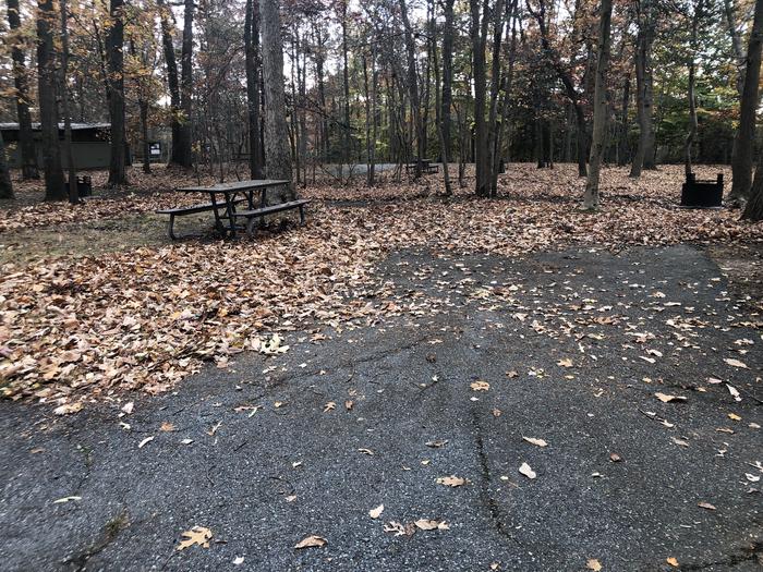 A photo of Site B48 of Loop LOOP B at GREENBELT CAMPGROUND with Picnic Table, Fire Pit