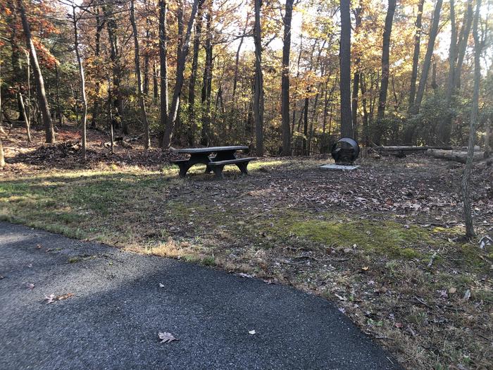 A photo of Site B67 of Loop LOOP B at GREENBELT CAMPGROUND with Picnic Table, Fire Pit
