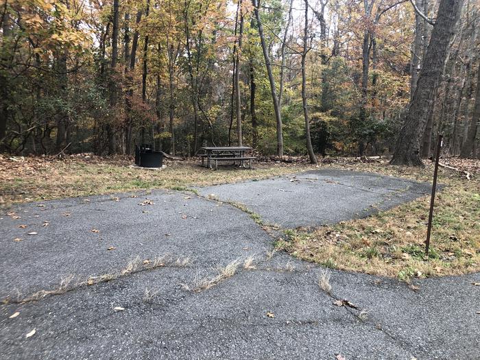 A photo of Site B43 of Loop LOOP B at GREENBELT CAMPGROUND with Picnic Table, Fire Pit