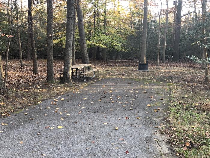 A photo of Site B76 of Loop LOOP B at GREENBELT CAMPGROUND with Picnic Table, Fire Pit