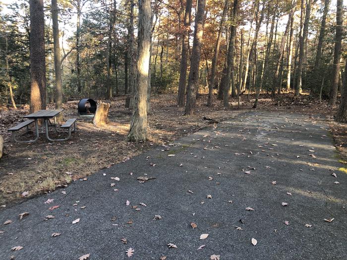 A photo of Site B79 of Loop LOOP B at GREENBELT CAMPGROUND with Picnic Table, Fire Pit