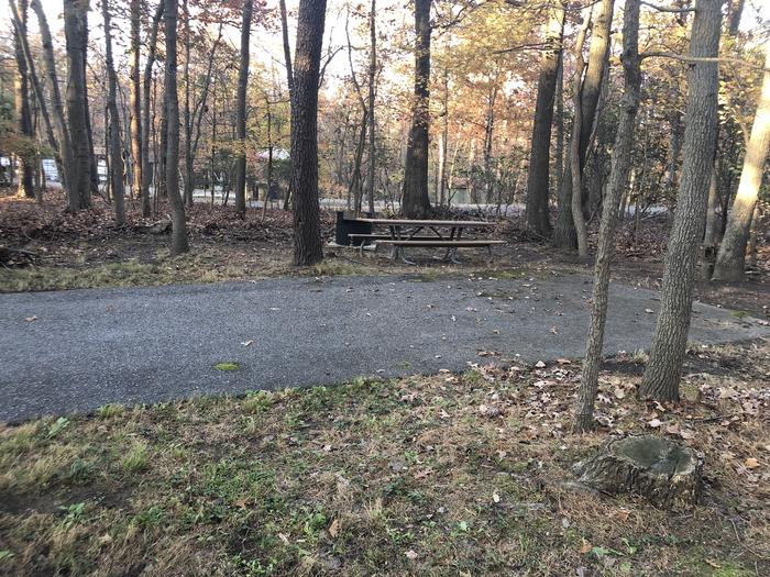 A photo of Site B81 of Loop LOOP B at GREENBELT CAMPGROUND with Picnic Table, Fire Pit