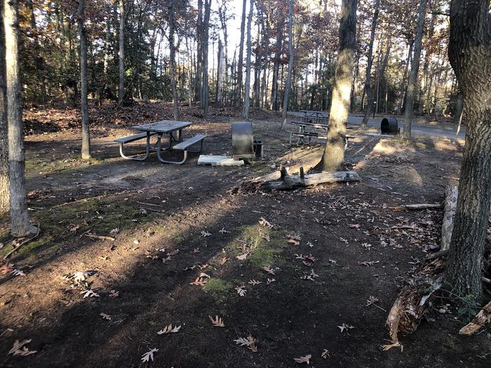 A photo of Site B73 of Loop LOOP B at GREENBELT CAMPGROUND with Picnic Table, Fire Pit